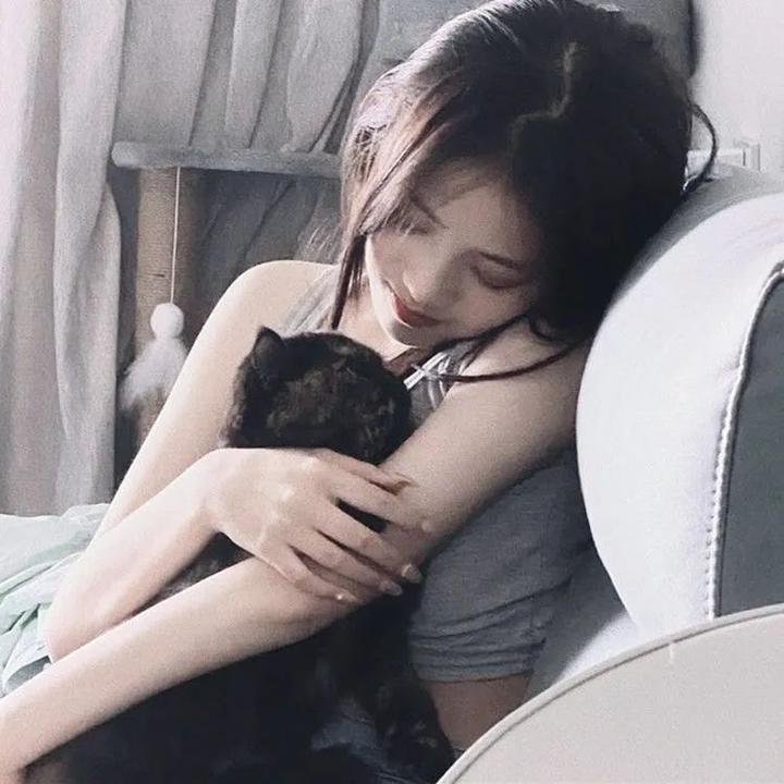 《情陷亚维农》