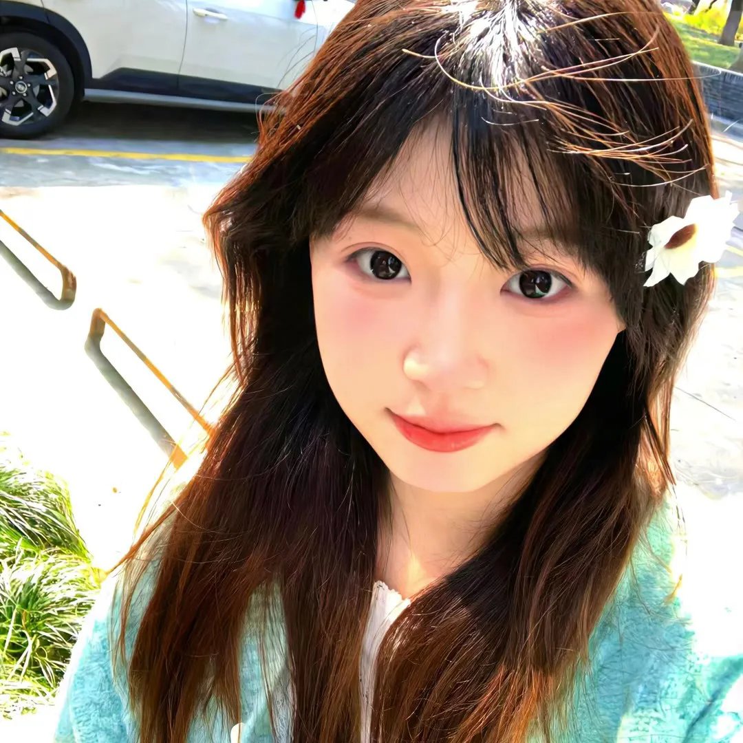 《禁宫十二钗》