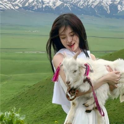 《手可摘星辰》